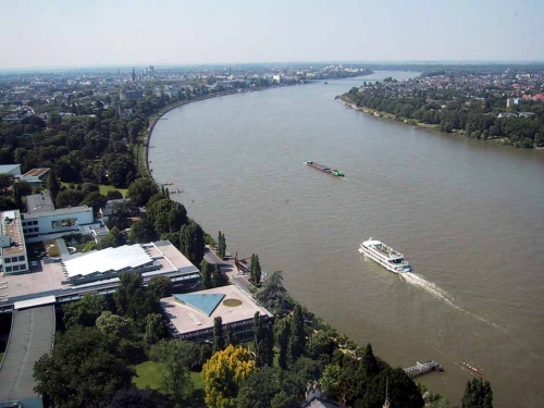 Fluss: Rhein